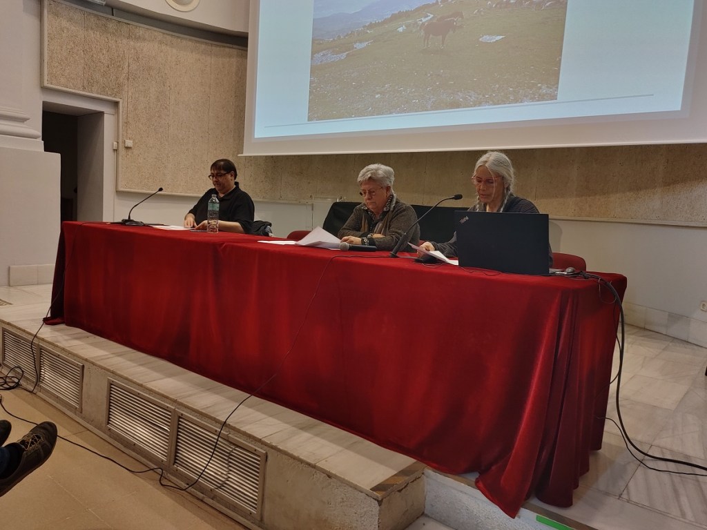 Lectura del manifest